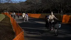 Orang-orang melewati jalan setapak di antara pagar yang ditempatkan untuk menutup bagian taman untuk mencegah pesta melihat bunga sakura (Hanami) di bawah pohon untuk pencegahan keamanan terhadap COVID-19 di salah satu tempat Hanami paling populer di Tokyo (13/3/2021).  (AP Photo/Kiichiro Sato)
