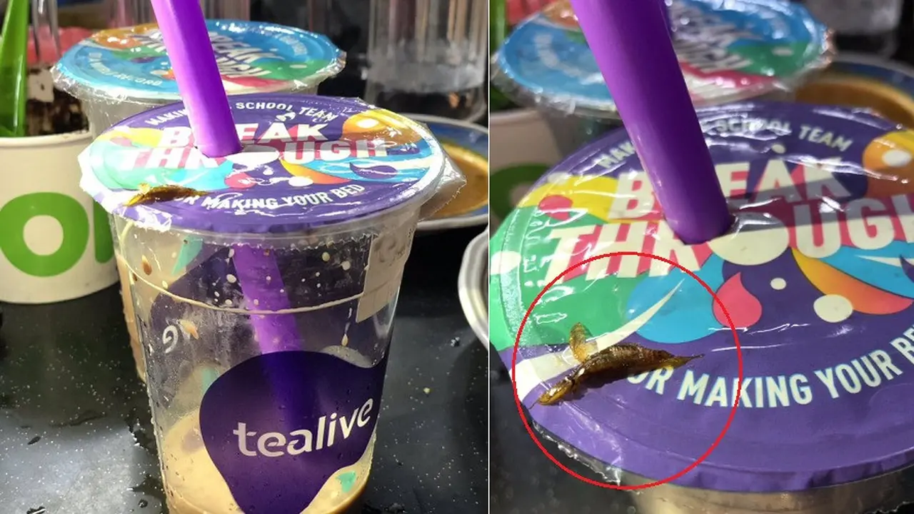 kecoak di minuman boba