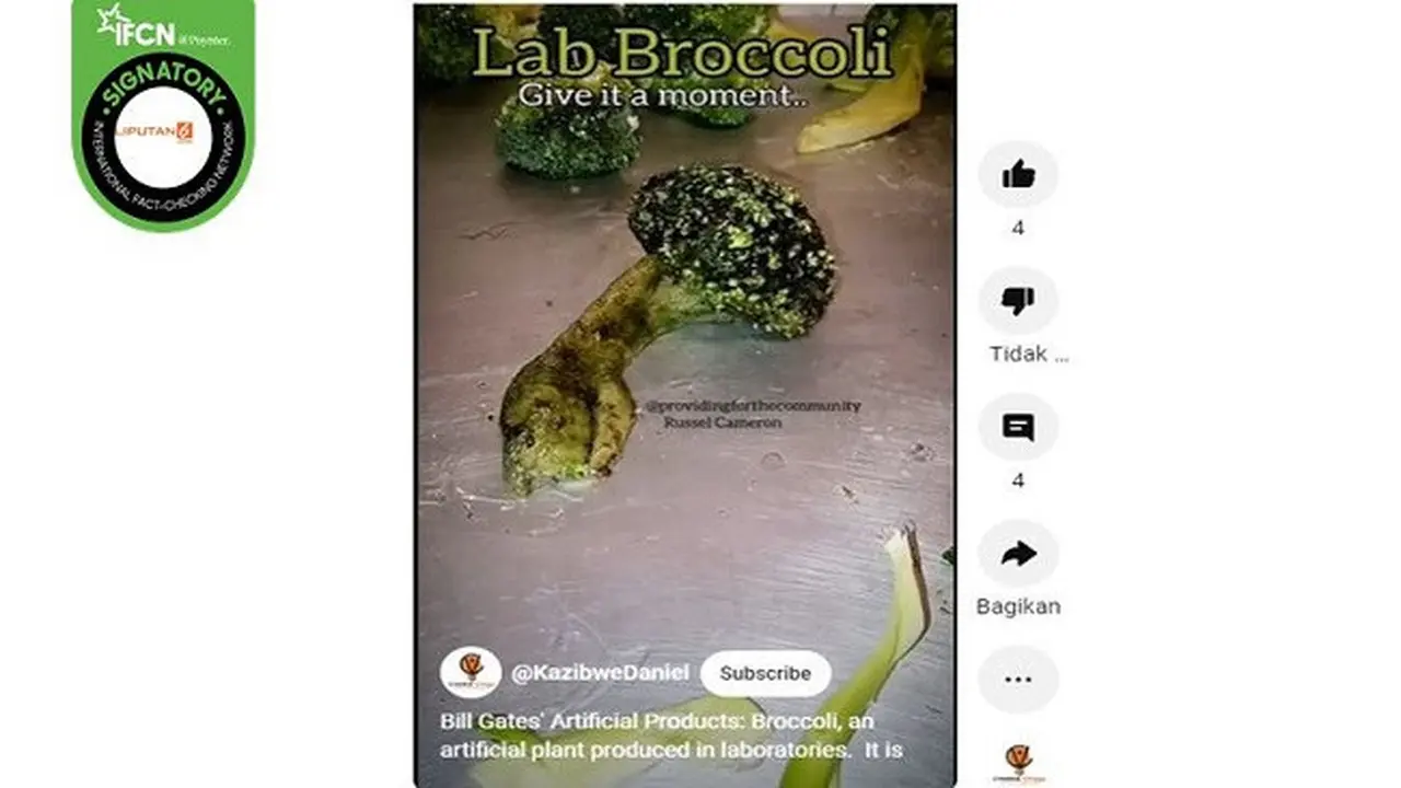 Beredar video yang diklaim brokoli hasil produksi laboratorium Bill Gates. (sumber: YouTube)