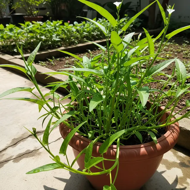 Pilihan Tanaman Cepat Panen untuk Berkebun Bersama Anak (Image by Gemini AI)