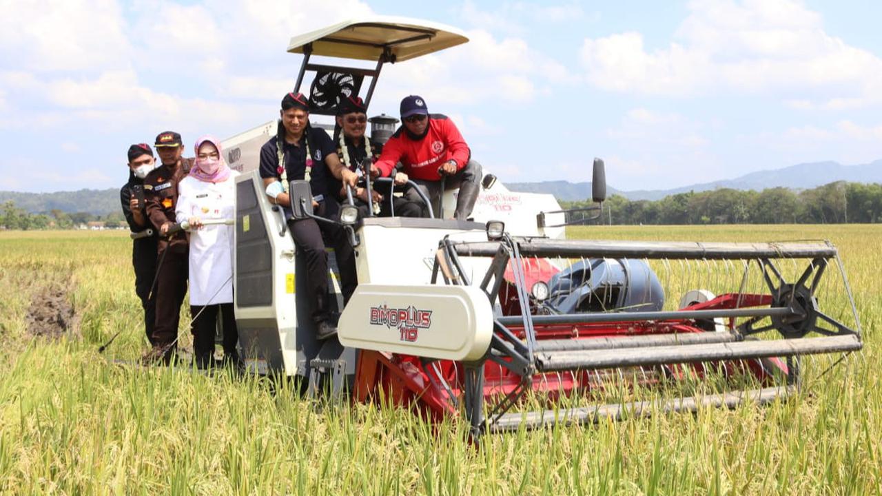 Mekanisasi Pertanian! Ini Strategi Inovatif Pemerintah Menuju Ketahanan Pangan Nasional