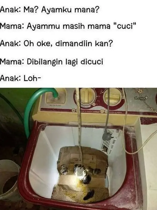 6 Potret Hewan Tak Sesuai dengan Kandangnya Ini Bikin Gagal Paham