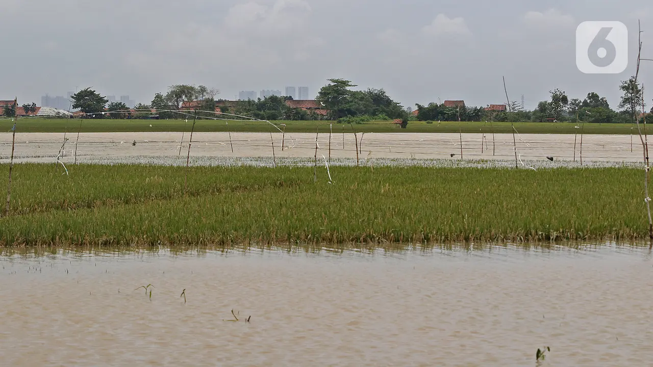Banjir di Desa Karangligar Karawang