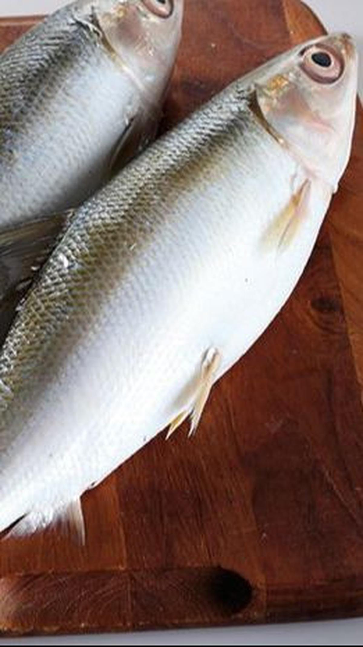 Resep Bandeng Presto: Cara Mudah dan Lezat