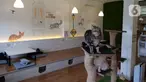 Seekor kucing bermain di Kopi Cat Cafe Kemang, Jakarta, Sabtu (30/5/2020). Kafe kucing itu akan menerapkan protokol kesehatan terkait kebijakan new normal, salah satunya adalah mengurangi jumlah pengunjung dan wajib memakai masker yang dimulai pada 5 Juni mendatang. (Liputan6.com/Herman Zakharia)