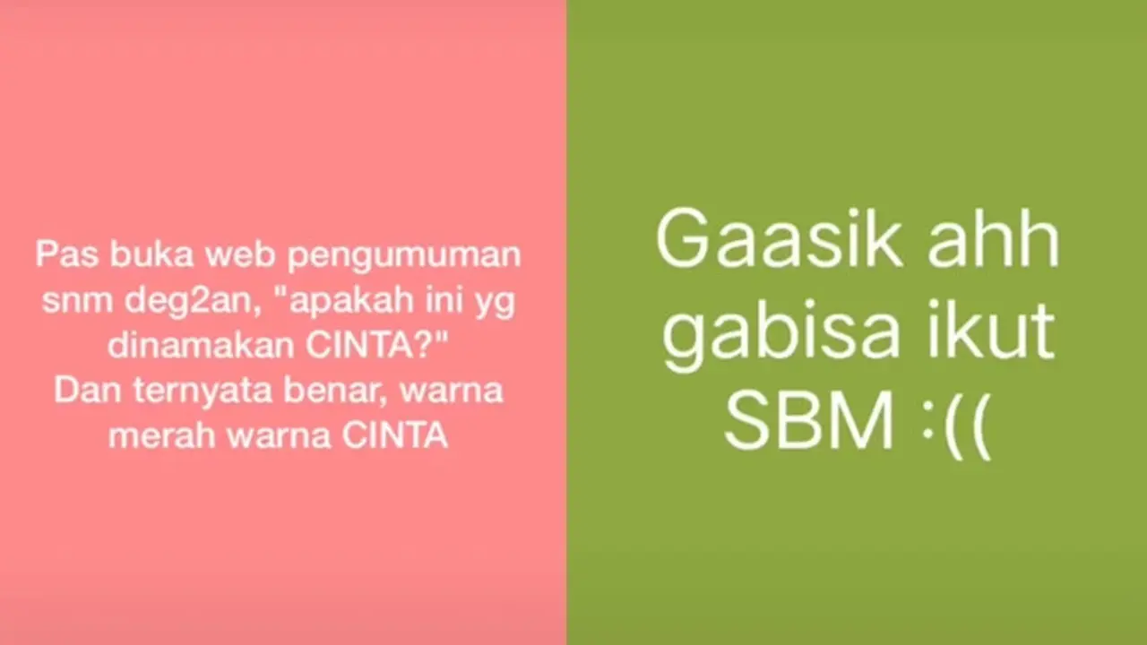 6 Status WhatsApp Lolos SNMPTN 2021 Ini Bikin Senyum Tipis