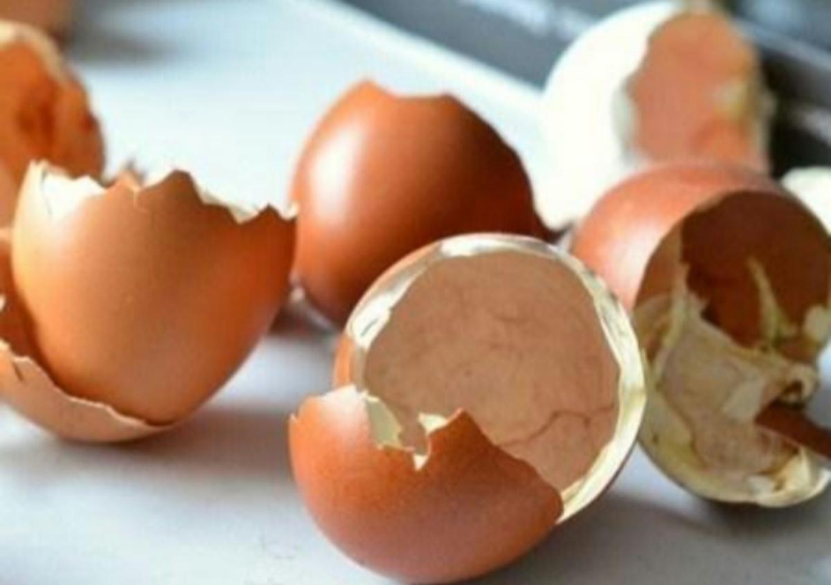 Ternyata Kulit Telur Bukan Sekedar Sampah, Justru Bermanfaat. (Sumber Foto: Juraganlimbah.blogspot.com)