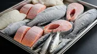 Cara Menggoreng Ikan Beku Langsung dari Freezer agar Tidak Meletup dan Tetap Renyah