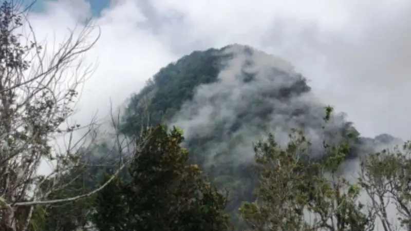 Gunung Ile Wukoh di Flores, terlihat dari lereng Lewotobi