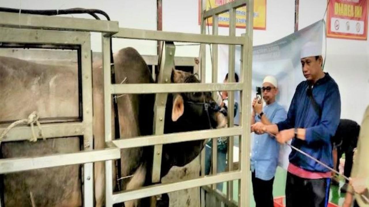 Pemkab Barito Utara Gratiskan Pelayanan Kurban di RPH Muara Teweh