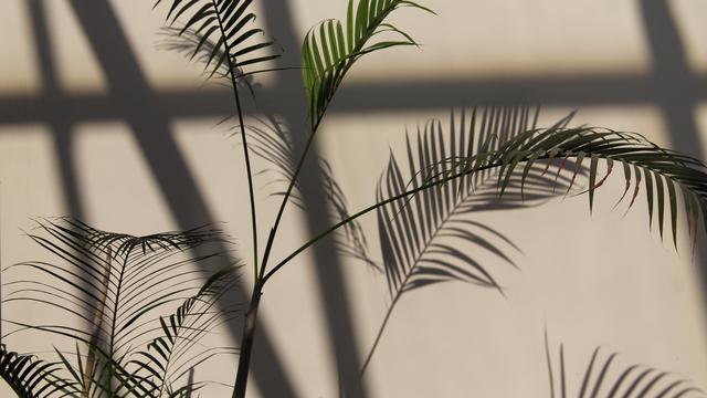 Hari Tanpa Bayangan/dok. unsplash marra