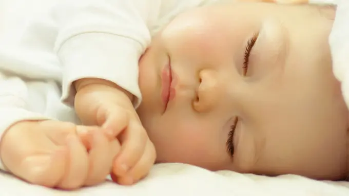 Foto : copyright shutterstock.com