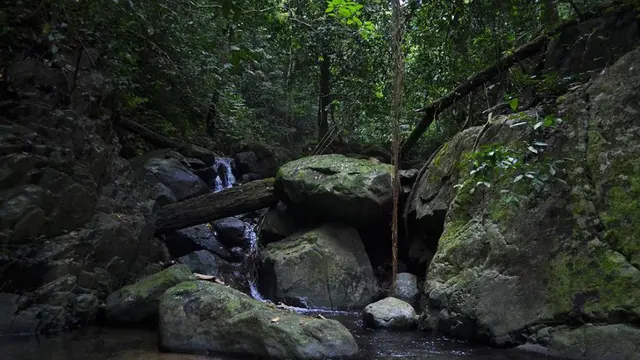 Curug Rimba, Gunung Cisaat di sekitar kawasan Gunung Honje, Banten.