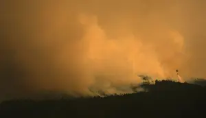 Spanyol Darurat Nasional Kebakaran Hutan