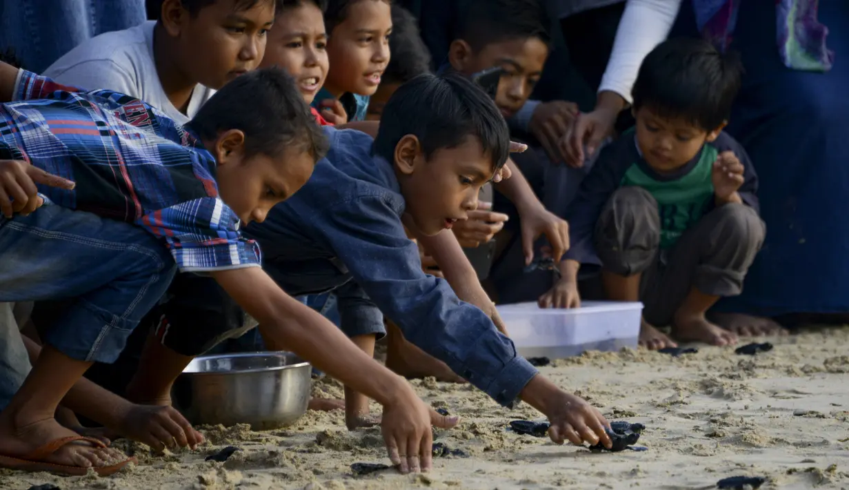 Anak-anak melepaskan bayi tukik penyu ke laut saat matahari terbenam di pantai Lhoknga provinsi Aceh (31/1/2020). Pelepasan bayi tukik penyu tersebut wujud kepedulian terhadap lingkungan. (AFP Photo/Chaideer Mahyuddin)