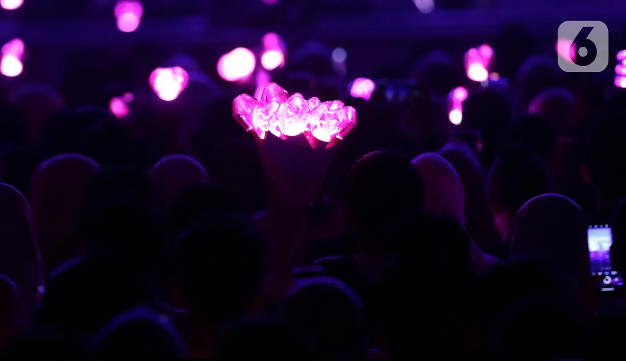 Dalam konser yang dimulai tepat pukul 14.30 WIB ini Taeyeon menghapus kerinduan panjang penggemarnya di Indonesia. (Liputan6.com/Helmi Fithriansyah)