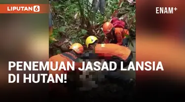 Geger! Penemuan Jasad Nenek-nenek di Hutan