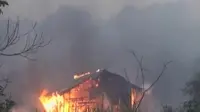 Api Kebakaran Lahan Gambut Turut Lahap Rumah Warga