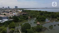 Foto areal kawasan Hutan Magrove, Jakarta, Sabtu (31/10/2020). Kawasan hutan mangrove seluas 45 hektar adalah salah satu kawasan yang tersisa di Jakarta menjadi salah satu tempat perlindungan dan konservasi. (merdeka.com/Imam Buhori)