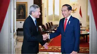 Presiden Republik Indonesia Joko Widodo (Jokowi) dan Perdana Menteri Singapura Lee Hsien Loong (Biro Pers Sekretariat Presiden)