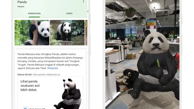 Temui hewan Augmented Reality (AR)/dok. Google