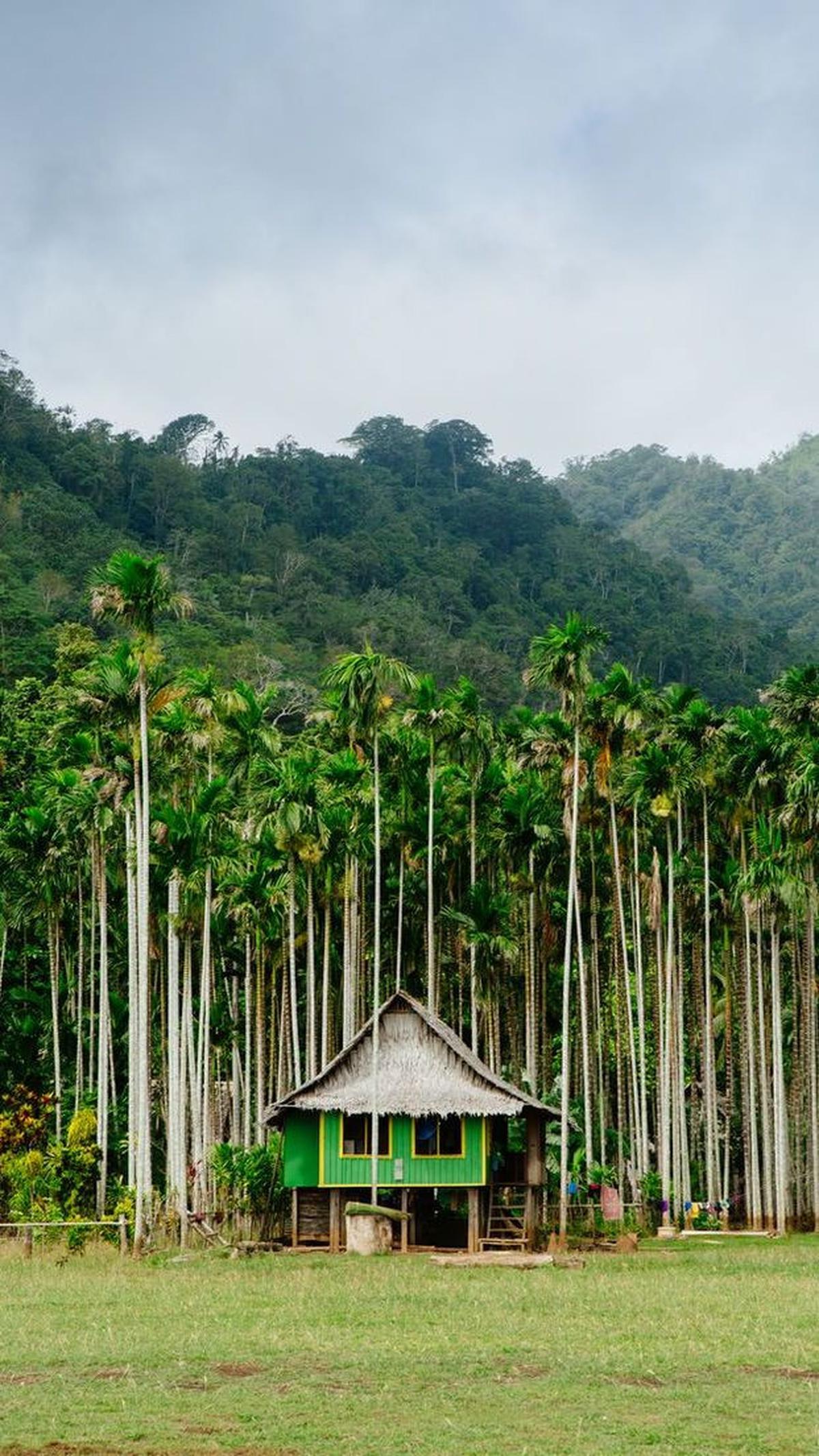 3.&nbsp;Papua Nugini