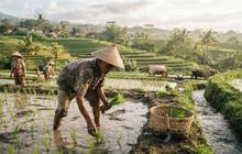 Siasat Eks Pekerja Migran dan Petani Lokal Jabar Bangun Ekonomi Mandiri
