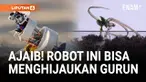 Pada malam hari, robot ini menjelajahi gurun, menggunakan sensor untuk menemukan area subur, dan menabur benih.