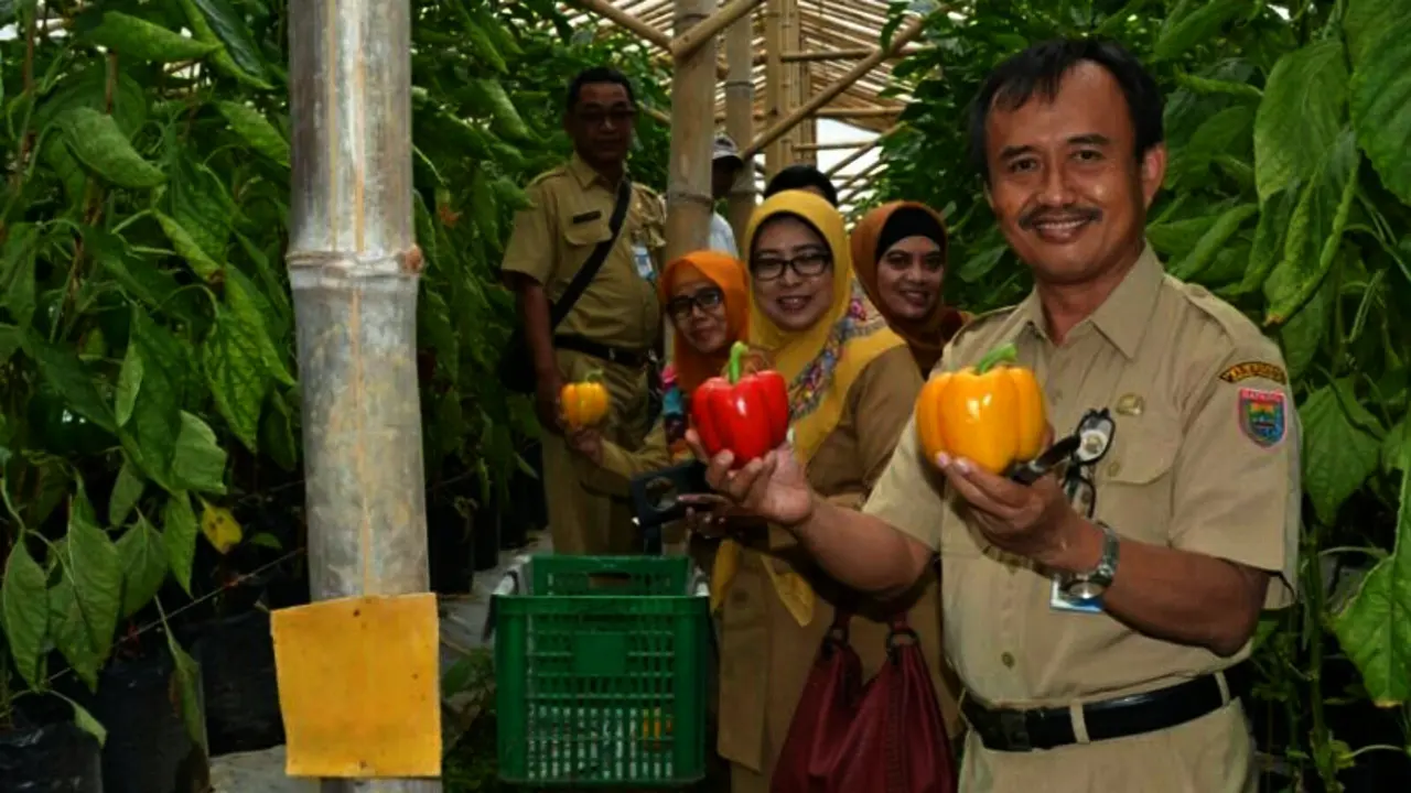 Salam Pagi