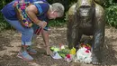 Pengunjung melihat kartu simpati di dekat patung gorila di Kebun Binatang Cincinnati, Ohio, AS, Selasa (29/5). Akhir Mei 2016, petugas kebun binatang Cincinnati terpaksa menembak seekor gorila bernama Harambe. (AP Photo)