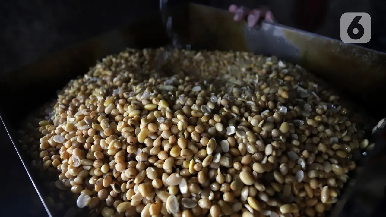 RI Impor 350.000 Ton Kedelai dari Amerika