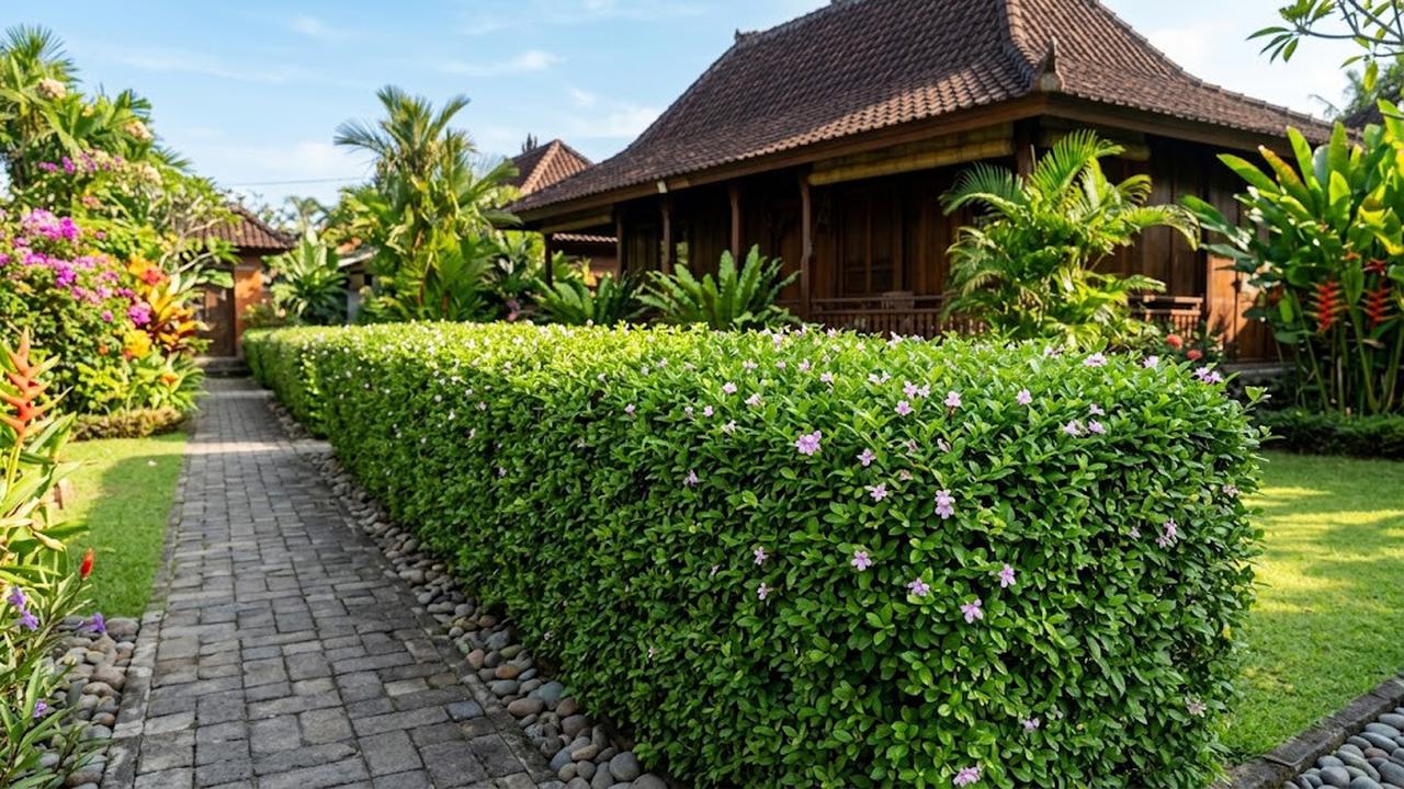 Tanaman Pagar Berbunga Sepanjang Tahun (AI Generated)