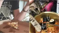 Aksi kucing curi makanan (Sumber:X/weirdlilguys/Instagram/sukijan.id)