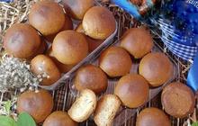 Lezatnya Roti Koing, Camilan Kering Khas Palembang yang Mulai Terlupakan