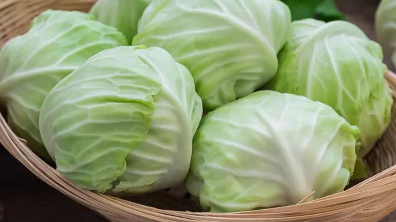Trik Menggulung Kubis untuk Siomay, Rapi seperti Pedagang Keliling