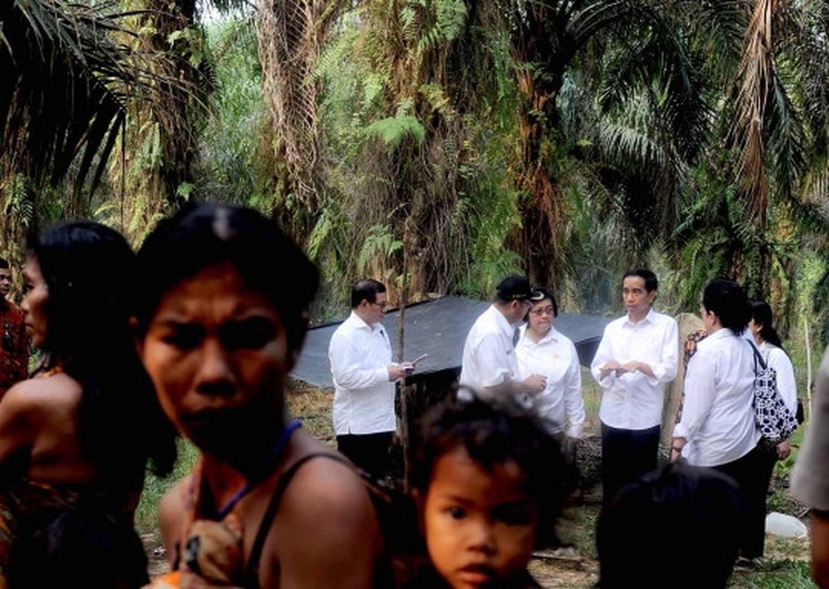Keakraban Jokowi bertemu Suku Anak Dalam di hutan sawit