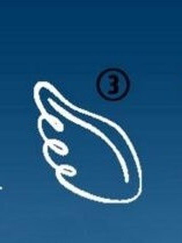 Tes Kepribadian, Pilih Satu Gambar Sayap Ini Dapat Ungkap Jati Diri