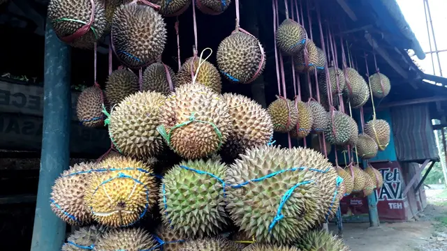 Durian dijajakan di pinggir jalan. (Foto: Liputan6.com/Muhamad Ridlo)