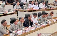 Mentan Tegaskan Produksi Pangan Indonesia Aman, Tak Perlu Impor Beras dan Jagung
