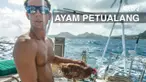 Agar tidak jenuh dan kesepian, pria ini mengajak ayam betina untuk menemaninya berlayar 