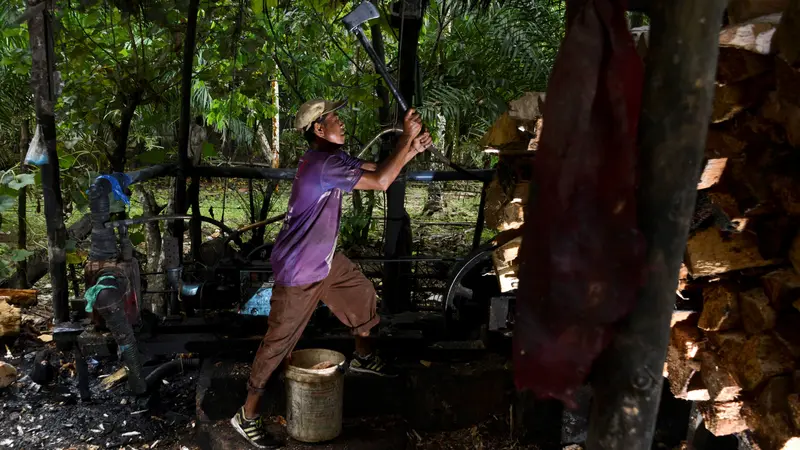 Produksi Tepung Sagu