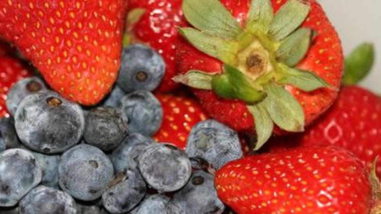 Buah berry: Superfood untuk menjaga kesehatan mental