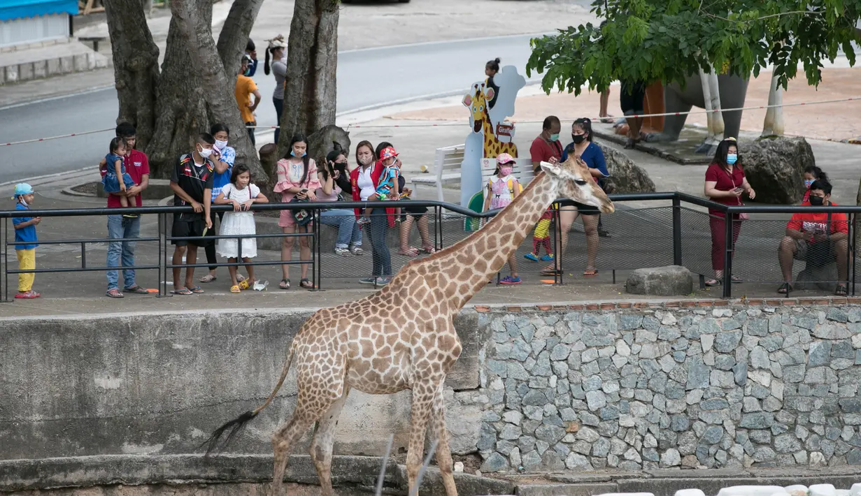Para wisatawan mengunjungi Khao Kheow Open Zoo di Provinsi Chonburi, Thailand, Selasa (16/6/2020. Enam kebun binatang di Thailand akan kembali dibuka bagi pengunjung secara gratis mulai 15 hingga 30 Juni. (Xinhua/Zhang Keren)