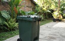 8 Cara Menjaga Tempat Sampah agar Tidak Mengundang Lalat, Cegah Risiko Penyakitnya