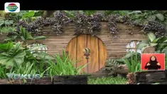 Sepanjang perjalanan, para tamu akan merasakan sensasi seperti berada di tengah hutan tropis di Kalimantan.