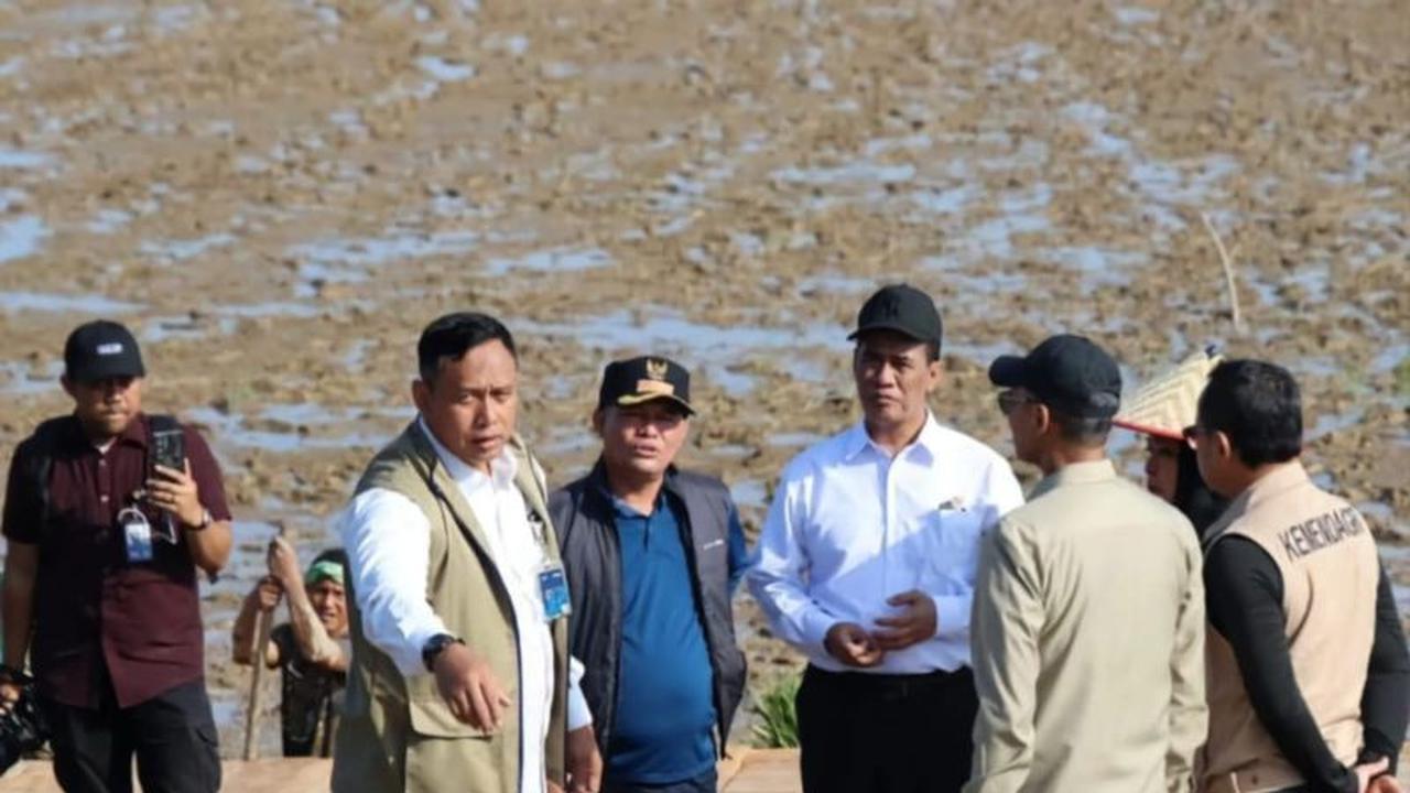 Intensifikasi Sawah Aceh Utara Digenjot Pasca Bencana, Jaga Ketahanan Pangan Daerah