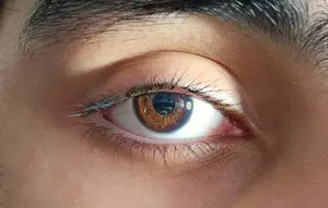 Retina dari Orang Meninggal bisa Dihidupkan Kembali untuk Transplantasi Mata
