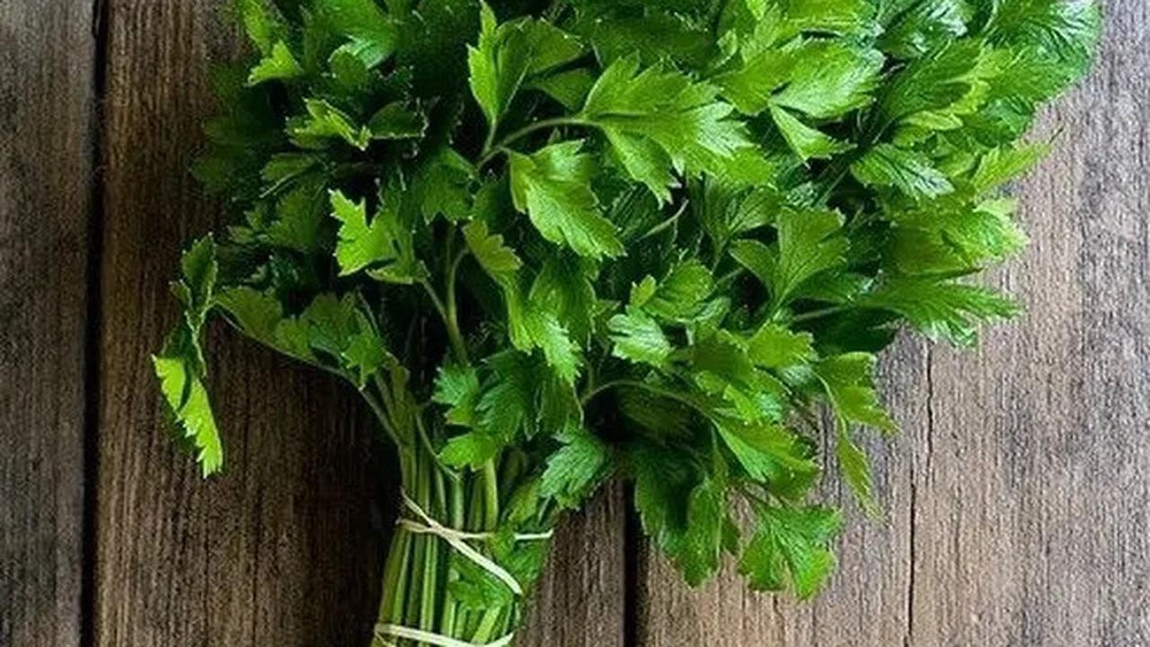 Manfaat Daun Seledri, Simak Resep Praktis untuk Kolesterol dan Darah Tinggi