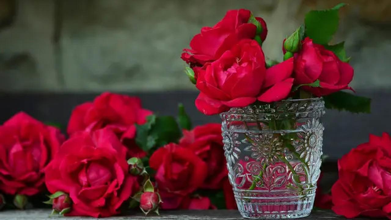 15 Tanaman Estetik yang Wangi dan Warnanya Cantik untuk Teras Rumah