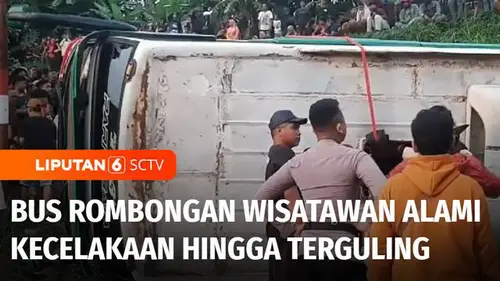 VIDEO: Kecelakaan Tunggal, Bus Rombongan Wisatawan Terguling di Jalur Tanjakan Simpang Tiga